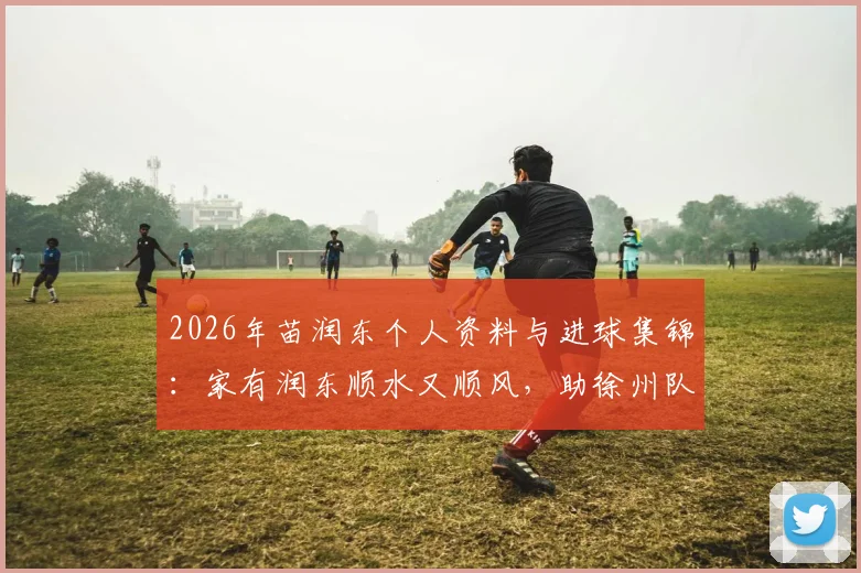 2026年苗润东个人资料与进球集锦：家有润东顺水又顺风，助徐州队3-1力克连云港队